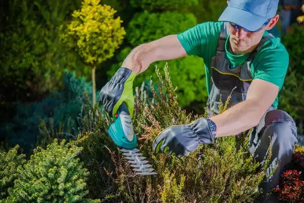 landscaping services Sycamore Hills